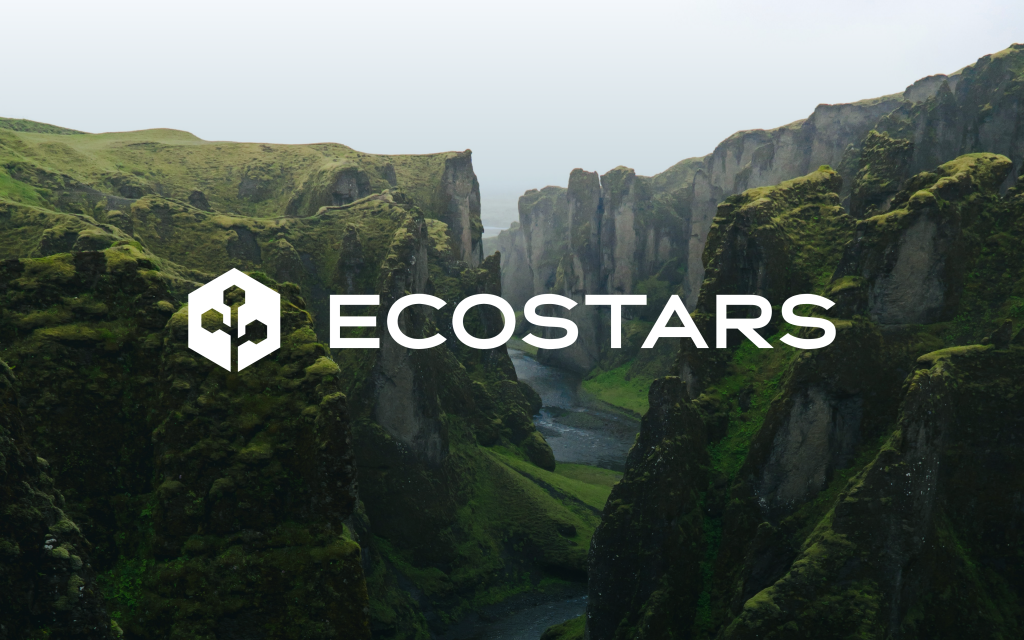 Collision Labs Portfolio: Ecostars Design Project
